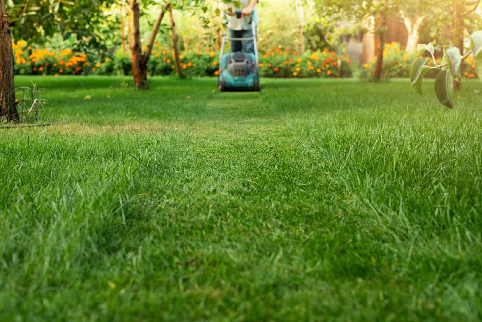 Man pushing lawn mower.